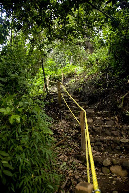 Hotel Rancho San Cayetano Ситакуаро Экстерьер фото